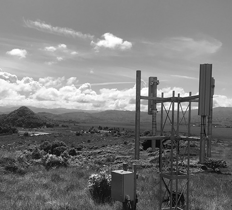 FAQs Banner